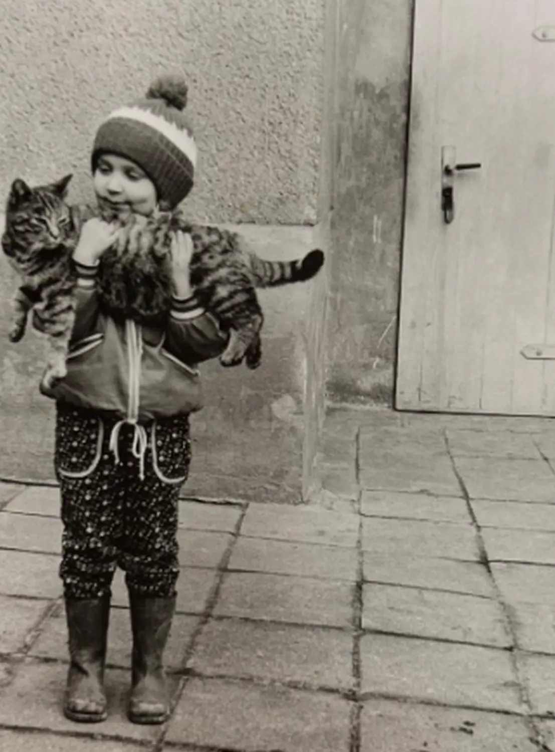 ,BKH Züchter, hammers Samtpfötchen, Jana Hammer , Liebe zu Katzen, Osternienburger Land Hämmerchen Samtpfötchen- ein Kind hält die Katze